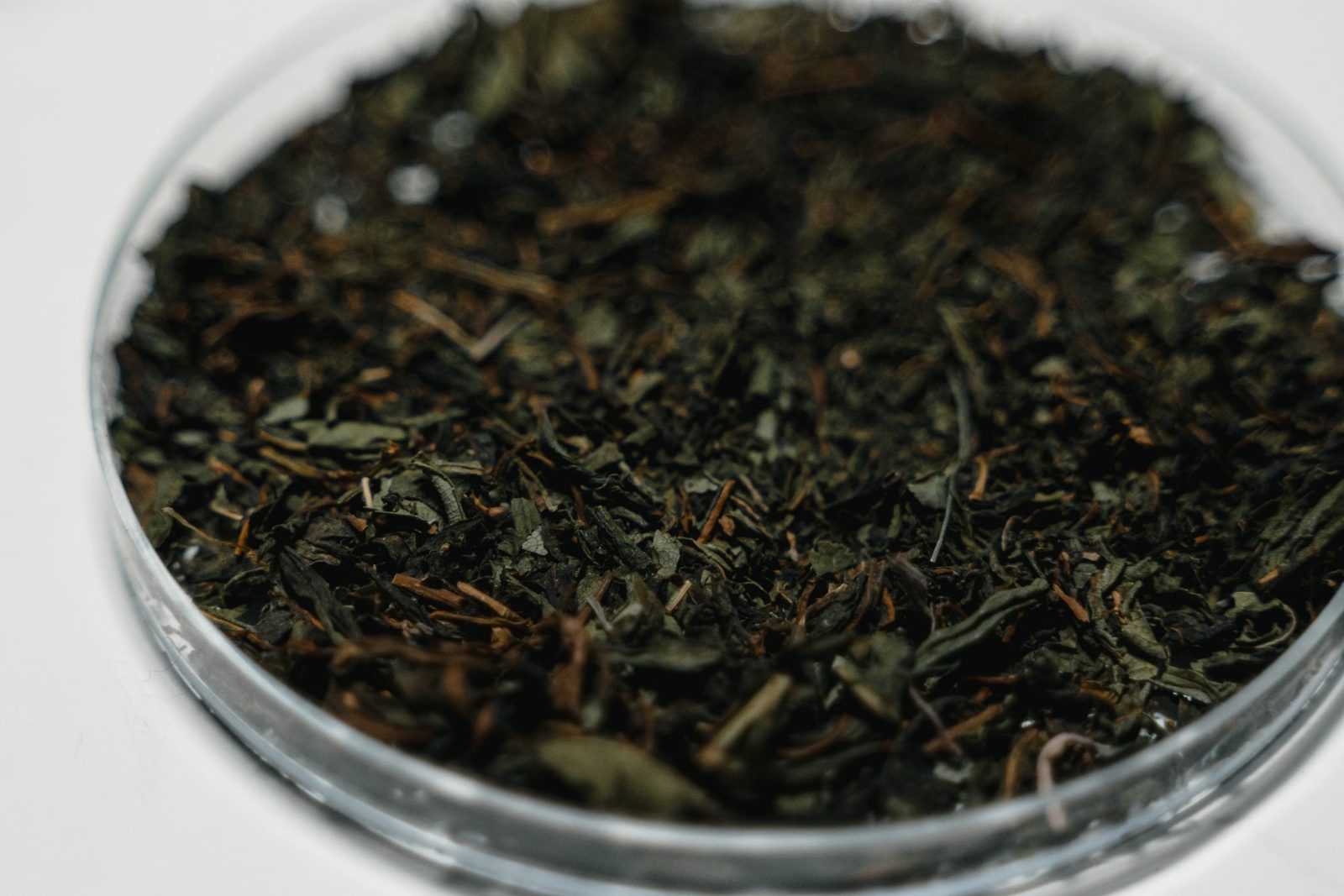 植物萃取原料怎樣選?10:1 比例與標準化含量的 OEM 採購指南